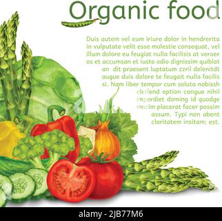 Vegetable organic food set of cabbage tomato paprika background vector illustration Stock Vector