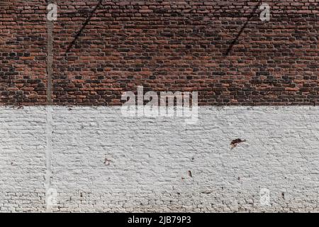 Two tone historic red and white brick wall horizontal Stock Photo