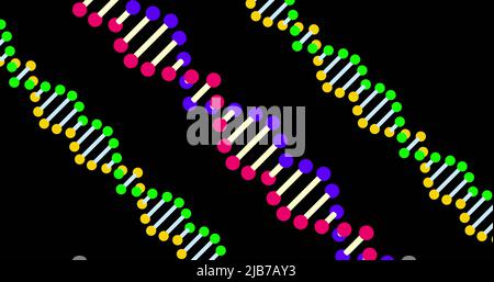 Image of colorful dna rotating on black background Stock Photo