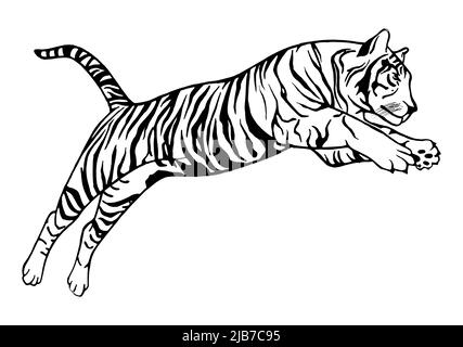 Jumping tiger - vector tattoo, hand-drawn illustration. Japanese chinese vector design set tiger 2022. New year 2022 chinese symbol. Stock Vector
