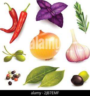 Herbs and spices decorative elements set on rosemary onion garlic isolated vector illustration Stock Vector