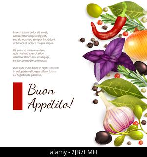 Herbs and spices chili rosemary olive on white background with Enjoy your meal title vector illustration Stock Vector