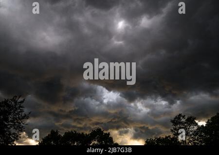 Storm Clouds rolling in above the TreeLine before Rain Stock Photo