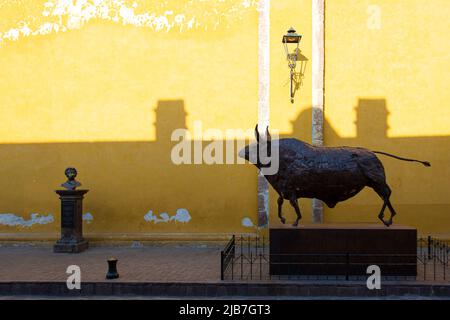 A metal bull statue is located in downtown San Miguel de Allende. The city is known for its many art forms including metal sculptures as shown. Stock Photo