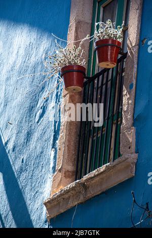 Two terra-cotta pots filled with succulent plants hanging on a black wrought iron balcony window gate. Stock Photo
