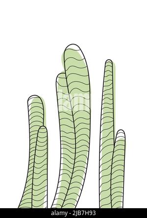 Cactus boho vector in line art style. Ethnic tribal cactus in hand drawn style with bohemian ornament for wrapping paper, wallpaper, textile, logo, fa Stock Vector