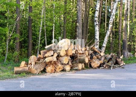 a pile of sawn tree trunks stacked on the edge of the park Stock Photo