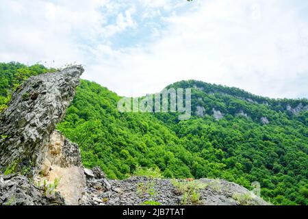 Кодорское ущелье фото