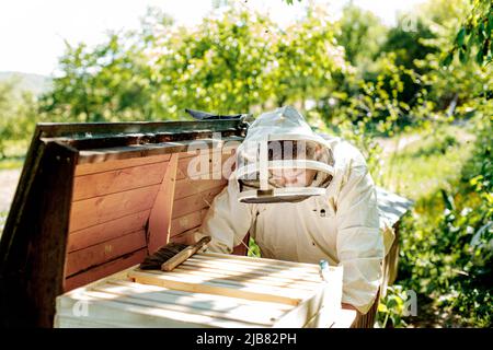 Beekeeper on apiary. Beekeeper is working with bees and beehives on the apiary Stock Photo
