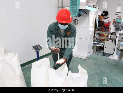 Lusaka, Zambia. 2nd June, 2022. A worker checks the quality of the mealie meal in the milling plant funded by China in Lusaka, Zambia, on June 2, 2022. Zambia on Friday officially commissioned three state-of-the-art milling plants funded by China. Credit: Zhang Yuliang/Xinhua/Alamy Live News Stock Photo