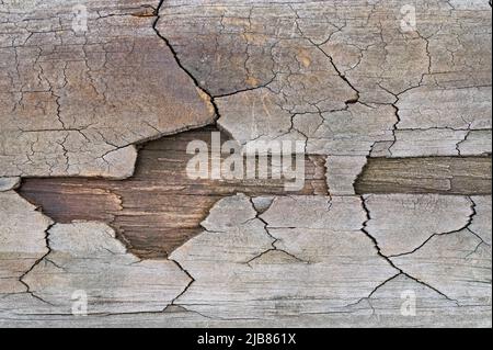 Weathered and cracked wood has an interesting look and pattern to it. Stock Photo