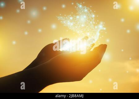 Hands praying and bird virtual graphics enjoying for freedom. Human raising hands. Worship christian Religion. pigeon bird flying out of two hands and Stock Photo