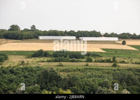 Picture of a typical countryside landscape of Serbia with a serbian farm and greenhouses, a seosko domacinstvo, surrounded with fields. Stock Photo