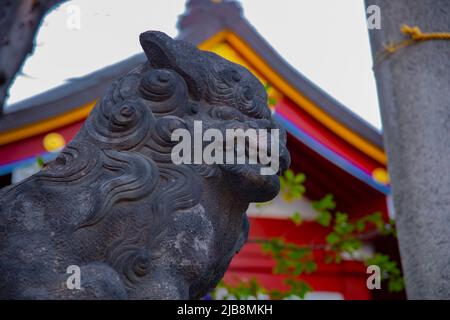 Statue guardian dog at Kanda shrine in Tokyo Stock Photo