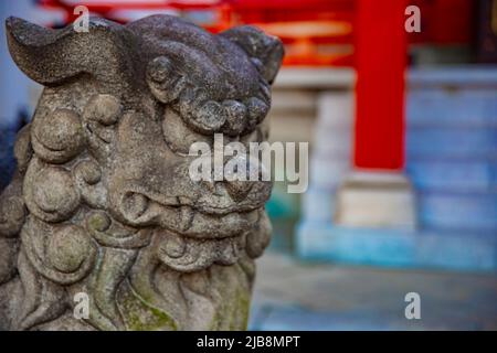 Statue guardian dog at Kanda shrine in Tokyo Stock Photo