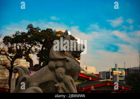 Statue guardian dog at Kanda shrine in Tokyo Stock Photo