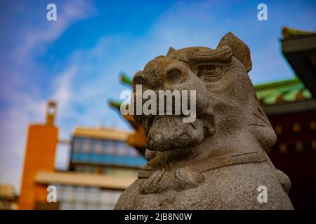 Statue guardian dog at Kanda shrine in Tokyo Stock Photo