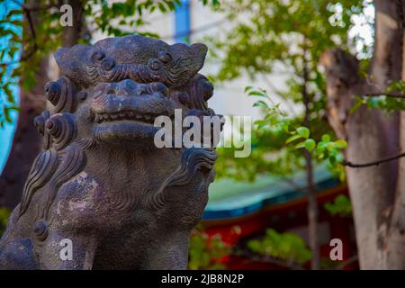 Statue guardian dog at Kanda shrine in Tokyo Stock Photo