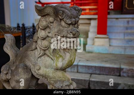 Statue guardian dog at Kanda shrine in Tokyo Stock Photo