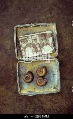 Small tin box containing three Ramshorn snail shells and sepia photo of eight members of 1920s family standing outside house Stock Photo