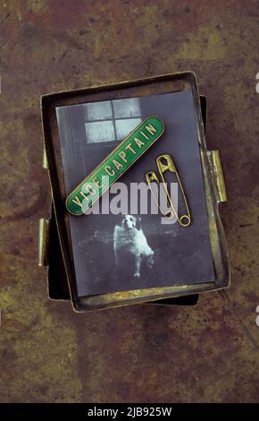 Vintage brass box containing 1950s photo of dog beneath window and brass safety pins and badge stating Vice Captain Stock Photo