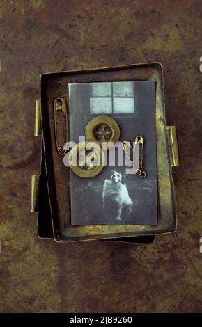 Vintage brass box containing 1950s photo of dog beneath window and brass safety pins and two brass buttons Stock Photo