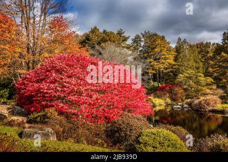 Idyllic liitle pond with colorful changing leaves in fall, New England Stock Photo