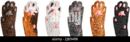 Cat paws of different color set isolated on white background realistic vector illustration Stock Vector