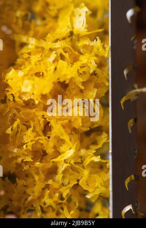 Fresh lemon zest from zester. Macro photography, selected focus. Stock Photo