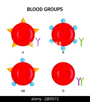 Human blood types groups symbols a b ab 0 4 red round colorful icons set vector illustration Stock Vector