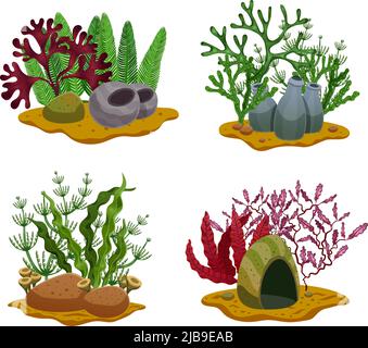 Seaweeds 4 flat underwater colorful decorative elements set with different algae types stones lighting isolated vector illustration Stock Vector