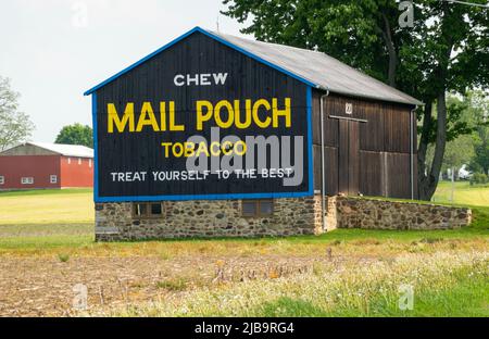 mail pouch tobacco barn signs Chew Mail Pouch tobacco sign on barn in LeRoy NY Stock Photo