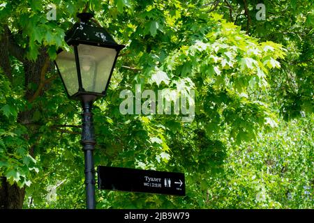 Public signage sign lavatory street lantern signboard lamp pole closet, from design wc for word and style woman, object direction. Gentleman hygiene Stock Photo