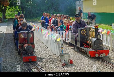 Two scale steam trains giving rides to the public. Stock Photo