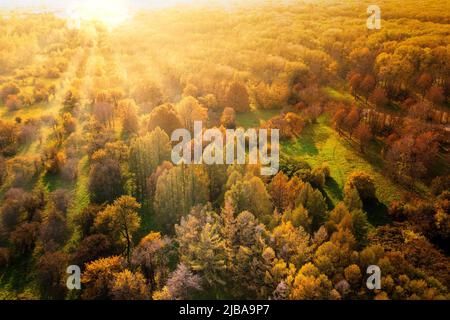 Sunset over the autumn forest. Long shadows. Drone view Stock Photo