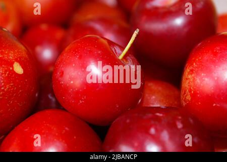 Close up of plum fruit kept in the bowl Stock Photo