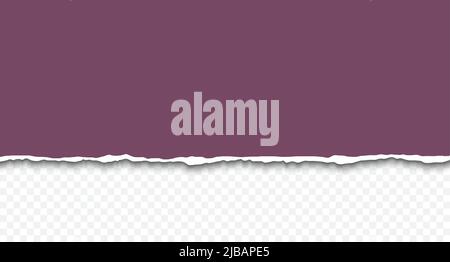 Torn a half sheet of color paper from the bottom isolated on transparent background. Template paper design. Realistic vector illustration Stock Vector