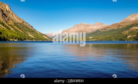 September sun is setting at gorgeous Plaun da Lej, a famous Swiss bay at Lake Sils (Silsersee), in the Upper Engadine Valley (Grisons, Switzerland). Stock Photo