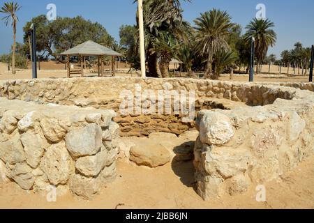 Prophet Moses Springs, Water wells and palms in Sinai Peninsula, Ras Sidr, Egypt, The Springs of Moses are a group of hot springs forming a small fert Stock Photo