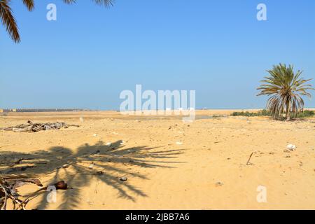 Prophet Moses Springs, Water wells and palms in Sinai Peninsula, Ras Sidr, Egypt, The Springs of Moses are a group of hot springs forming a small fert Stock Photo