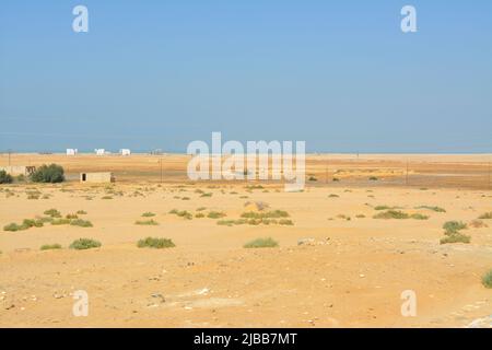 Prophet Moses Springs, Water wells and palms in Sinai Peninsula, Ras Sidr, Egypt, The Springs of Moses are a group of hot springs forming a small fert Stock Photo