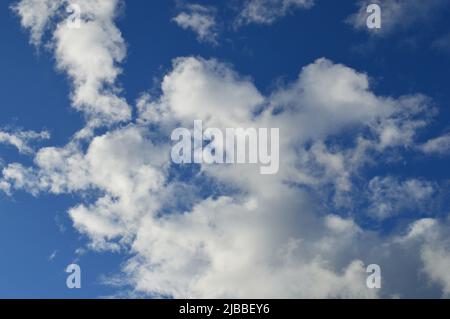 Soft white clouds floating in an azure sky Stock Photo