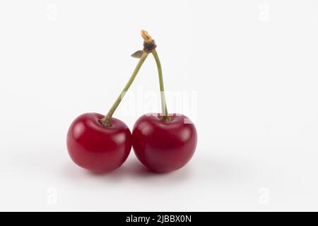 Two sour cherries isolated on a white background. Close up. Stock Photo