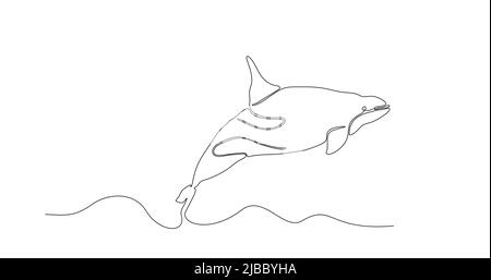 Big orca is swimming in sea. One black line drawing orca on white. Modern cute mammal animal design in minimalist style for company logo identity, con Stock Vector