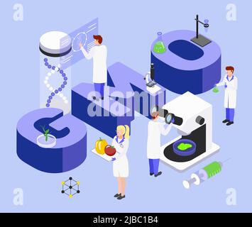 Food bio engineering process isometric composition with big gmo letters dna manipulation laboratory scientific research vector illustration Stock Vector