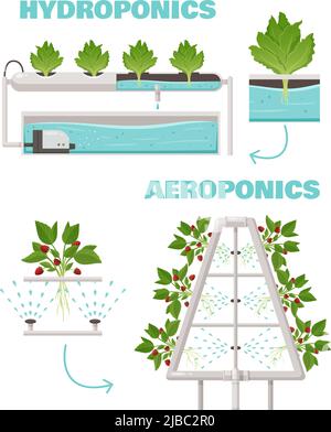 Hydroponics and aeroponics concept with watering and fast growth symbols cartoon vector illustration Stock Vector