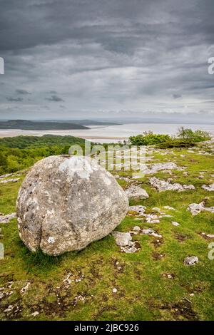 A glacial erratic on the Limestone Pavement at Hampsfell overlooking Morecombe Bay, Lake District Peninsulas, England Stock Photo