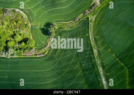 Spring aerial landscape in Tuscany hills Stock Photo