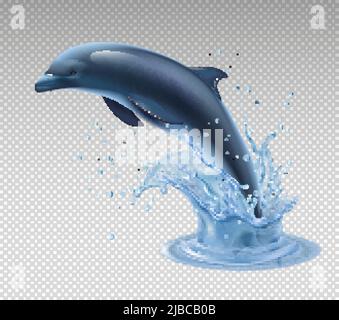 Jumping dolphin on transparent background realistic and colored icon with water splash vector illustration Stock Vector