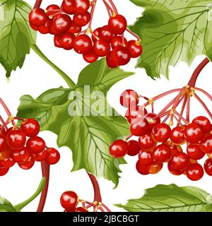 Seamless pattern with berries of viburnum on a white background. Guelder rose. Stock Vector